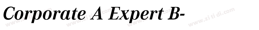 Corporate A Expert B字体转换